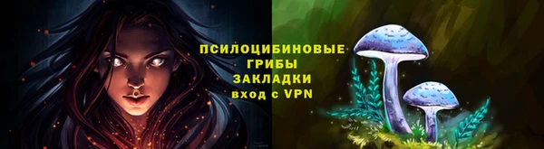 марки lsd Абаза